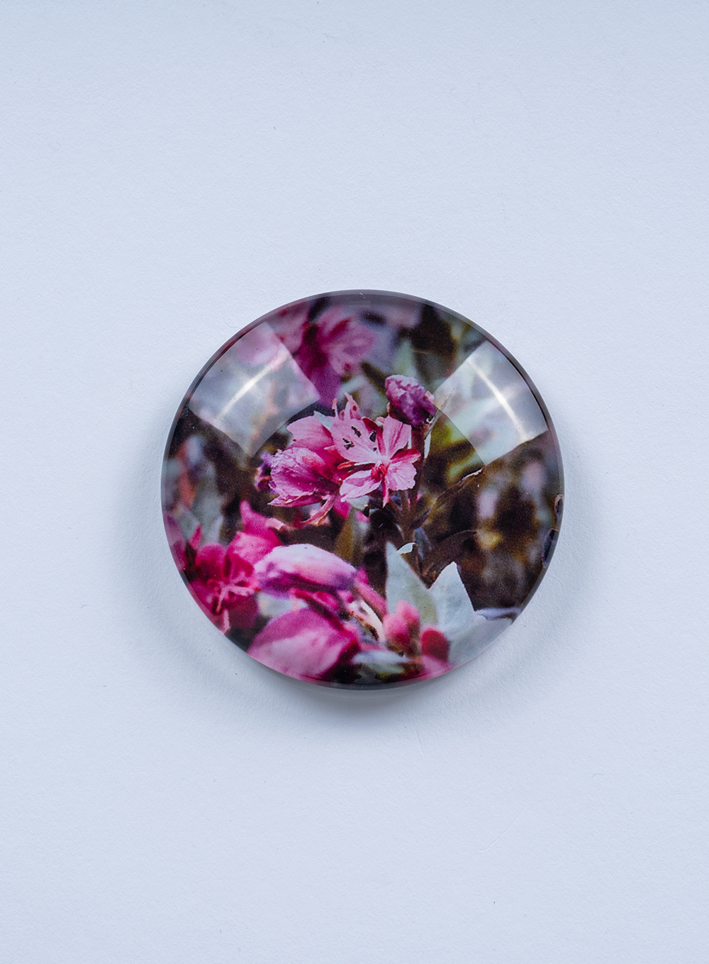 Savimmut kajungerisoq igalaamineq ammalortoq niviarsianik assliartalik